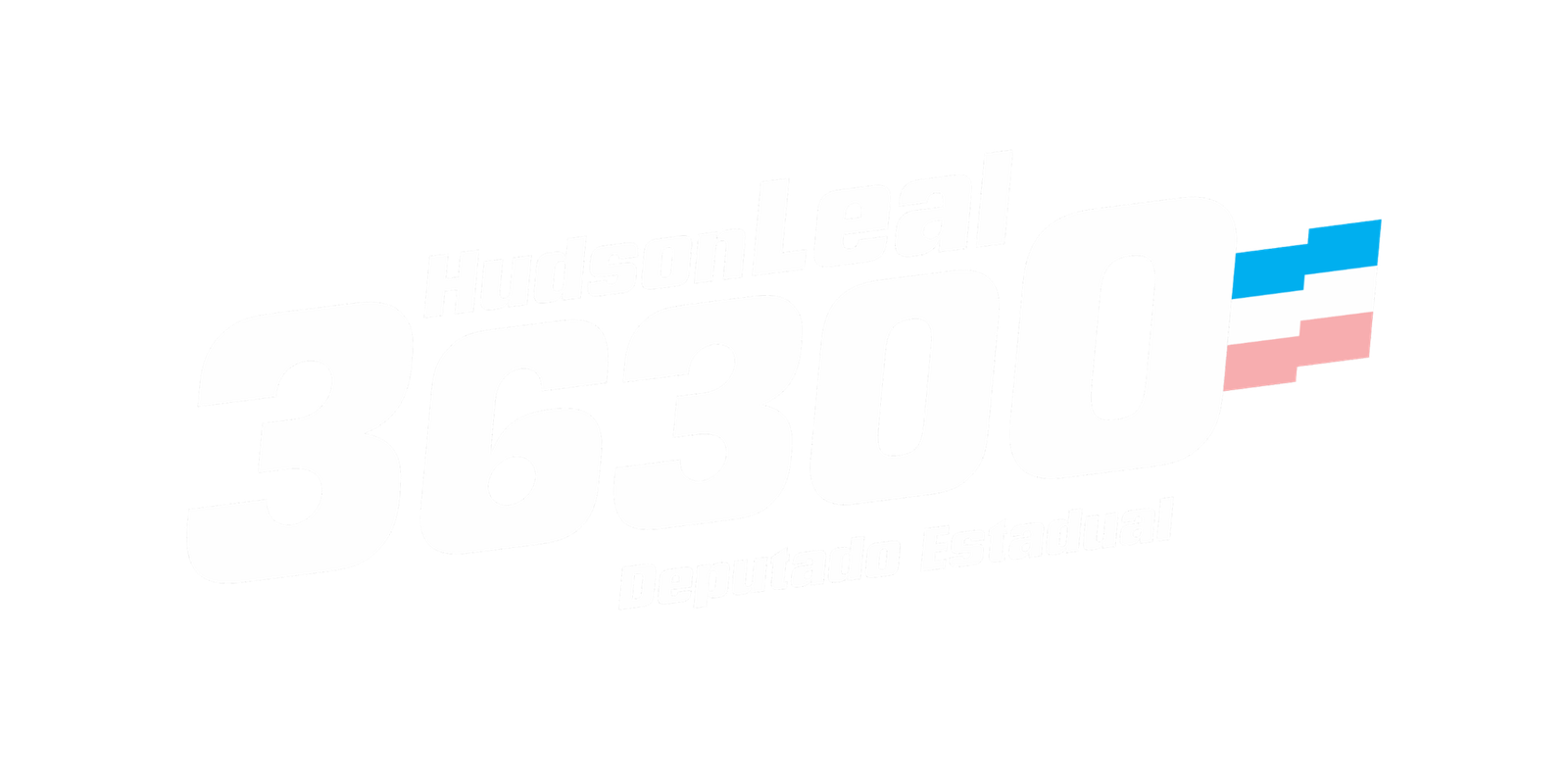 hudsonleal36300